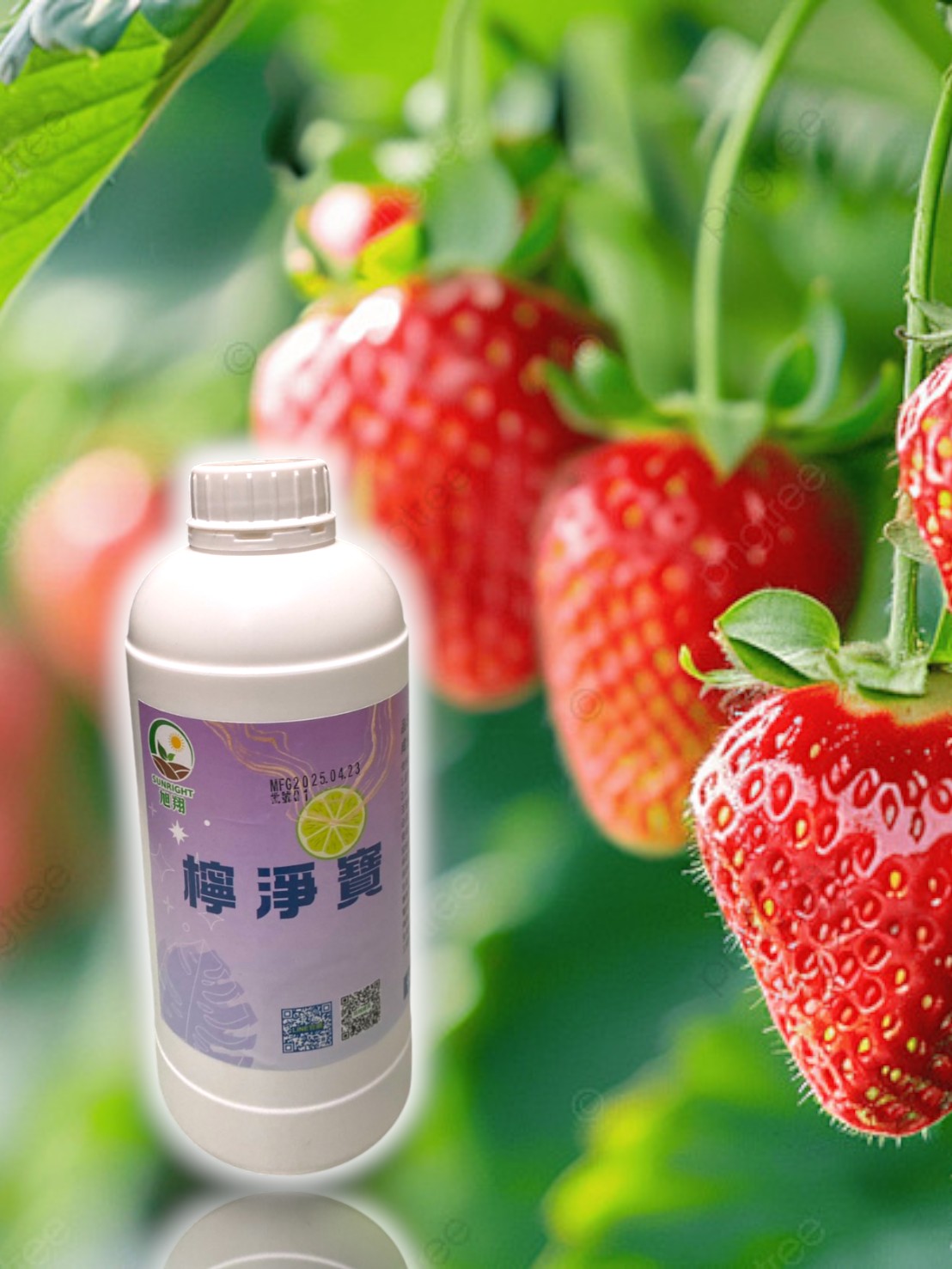 檸淨寶 1公升(專治介殼蟲.銀葉粉蝨.蚜蟲.薊馬.螨類):圖片 2